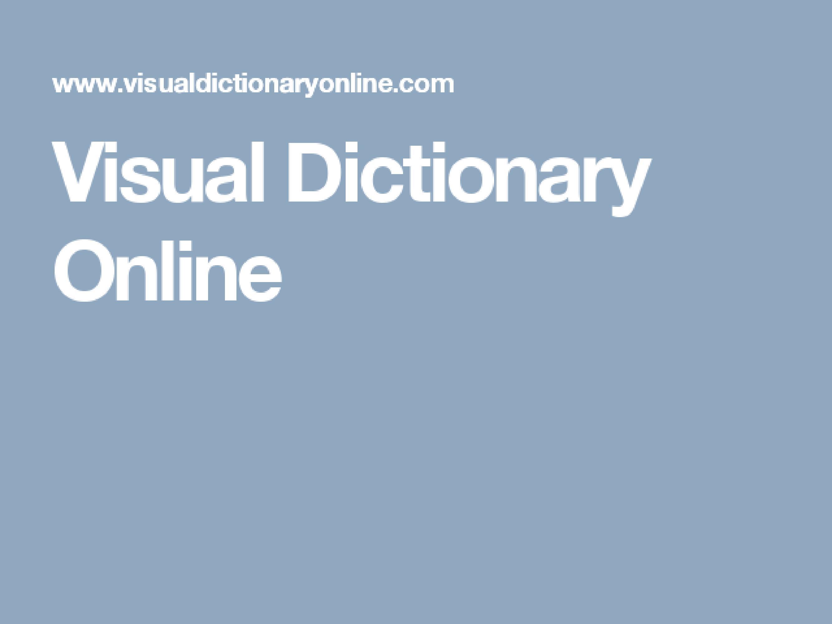 Visual Dictionary Online
